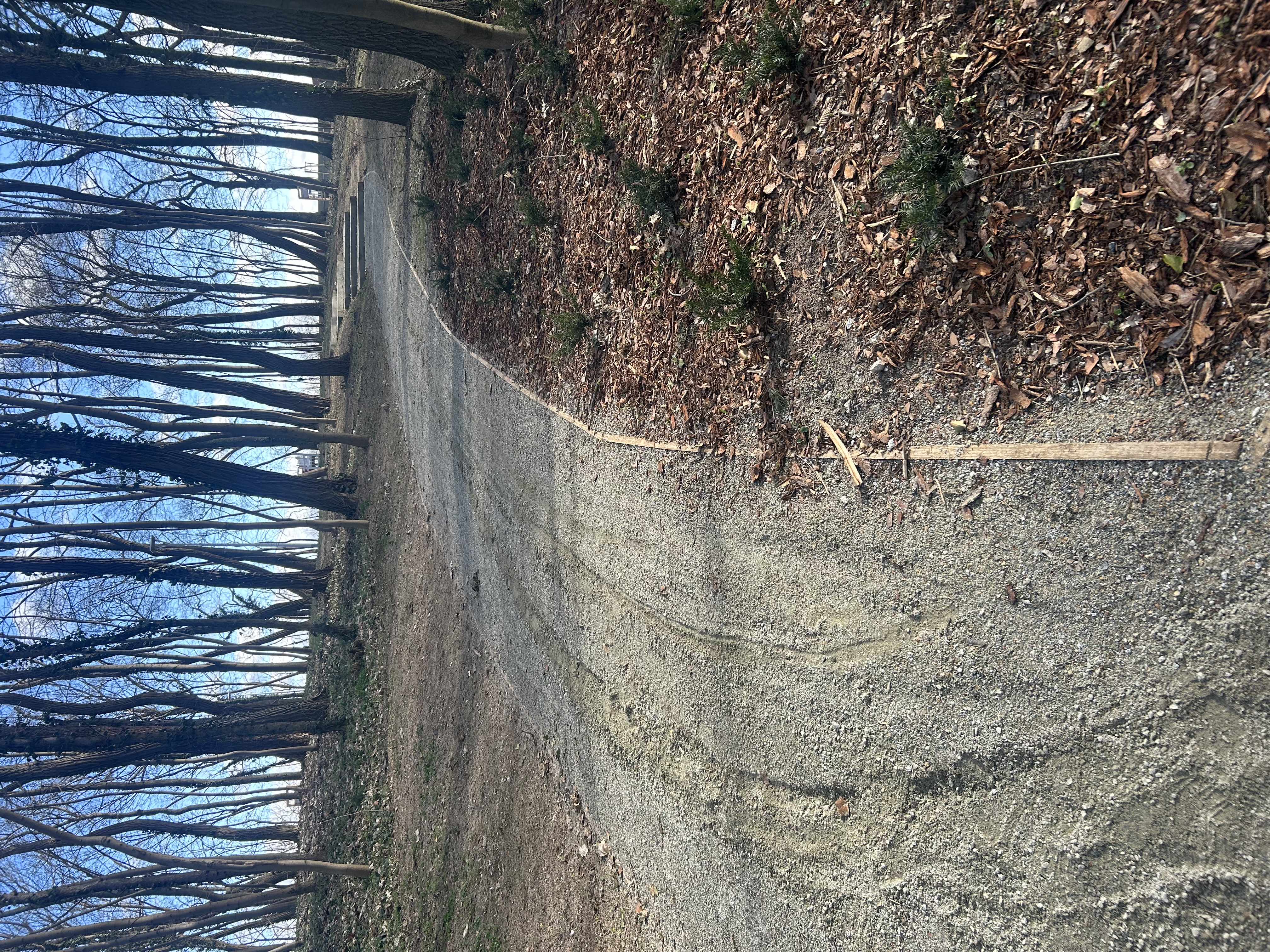 Ilustracja do informacji: Zniszczone ścieżki w parku w Świdnicy